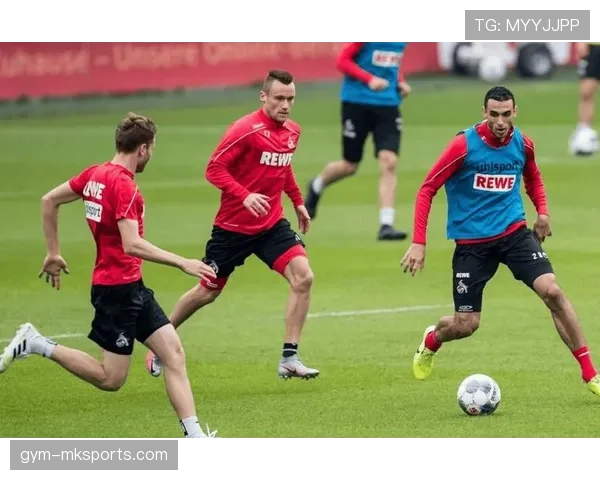 德甲球队灵活调整引援策略，新赛季新秀展现潜力备受关注